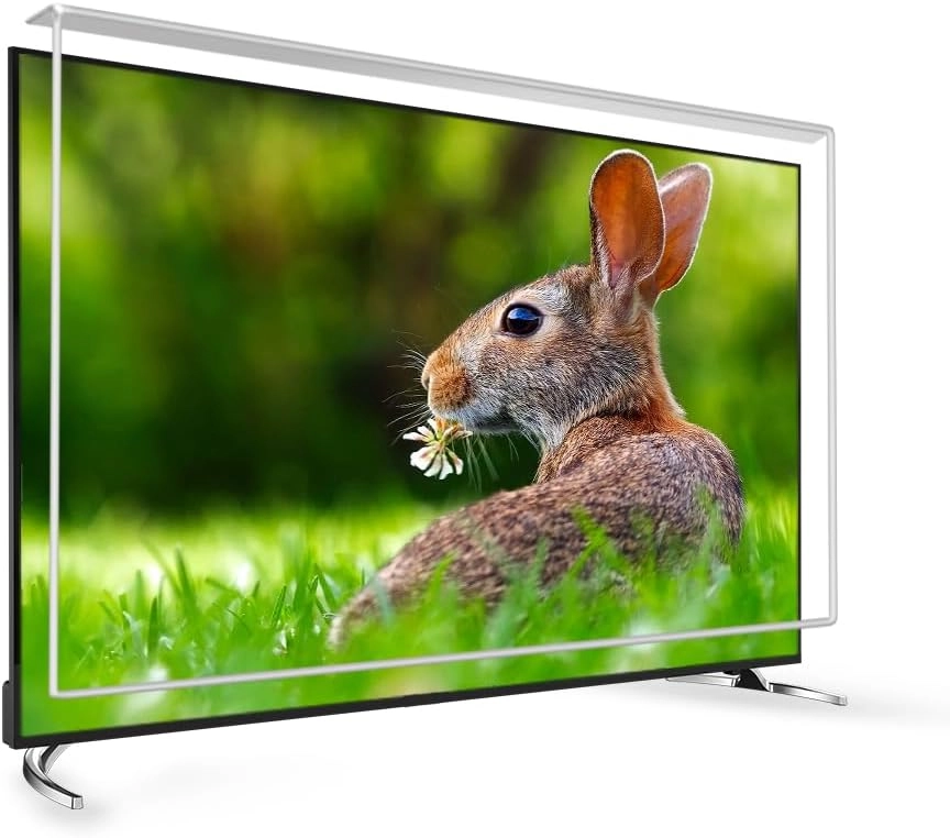 محافظ صفحه نمایش تلویزیون
